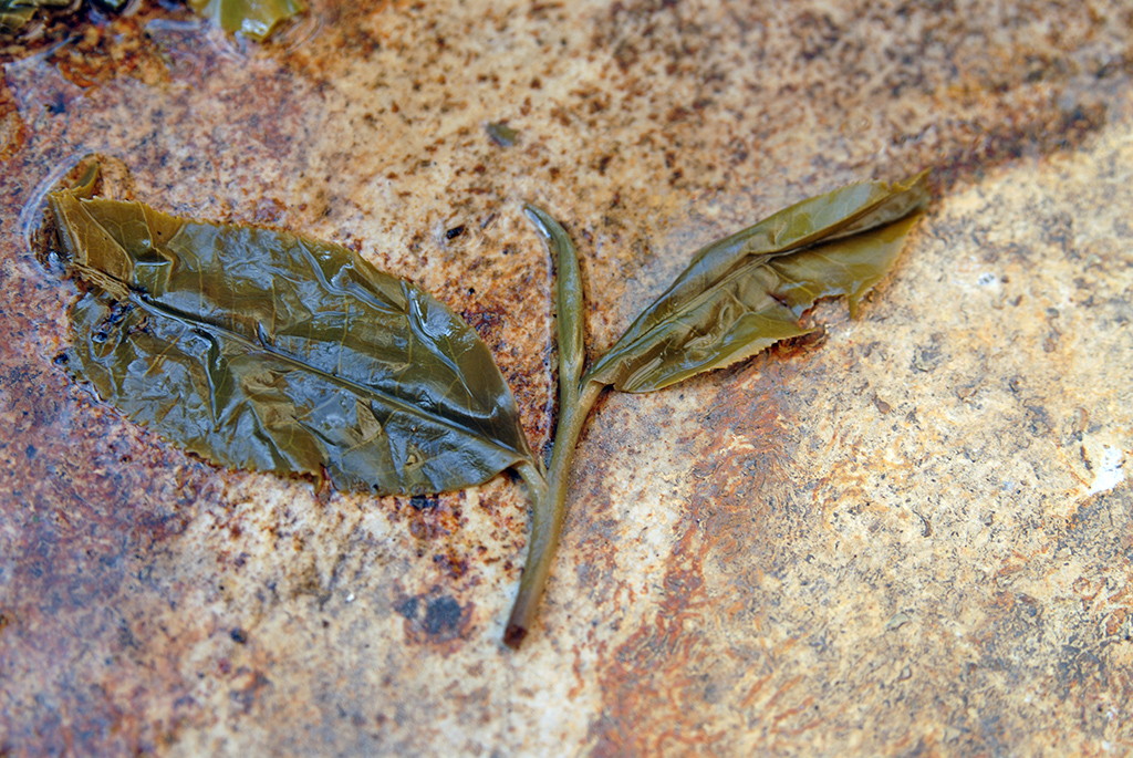 2006 Zhaizi Po village wild sheng puerh tea